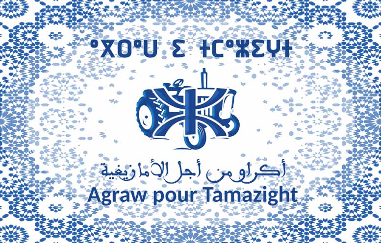 Agraw pour Tamazight: Contribution au document politique du Parti Authenticité et Modernité